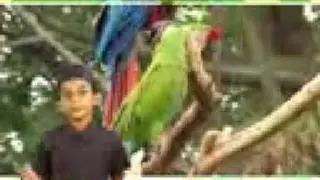 poroo painkiliye markaz kanaan new markaz song