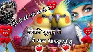 Heart touching love shayari 🥲 / sad.vido.status / hindi love shayari 🥀 / sad shayari video 💔💔
