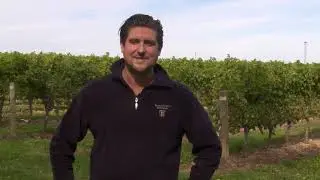 Fabian Reis  - Ferox Wines