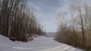 Shay's Revenge at snowshoe wv, top speed 60mph