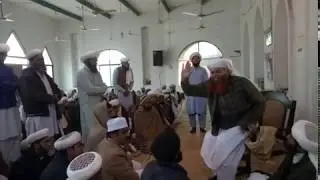 New Saifi Naat 2020 of Naeem Zia Muhammadi Saifi Mehfil Peer Zafar Abbas Muhammadi Saifi #SaifiNaat