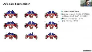 VIA Webinar: (Semi-) automated segmentation of biological images with Biomedisa and 3D Slicer