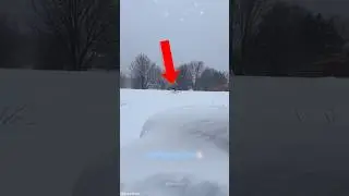 Cats reaction to snowfall!!