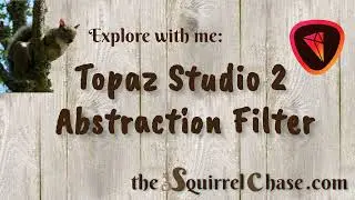 Topaz Studio 2 Abstraction filter demo