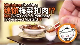 Miniature cooking | Mini Slow Cooked Pork Belly in Preserved Mustard | 迷你梅菜扣肉 | Tiny Kitchen | 迷你廚房