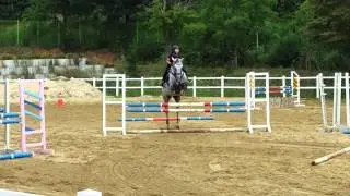 My Equestrian Story -Show jumping-