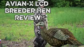Gear Review EP.01 Avian-X LCD Breeder Hen