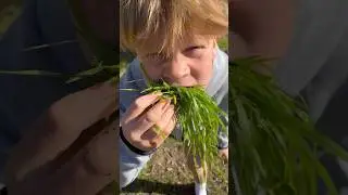 I ATE GRASS AND DID THIS😳#shorts
