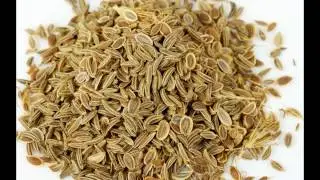 Dill seeds egypt,dill seeds suppliers,egypt dill