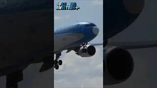 ✈️ Airbus A330 Cockpit Closeup Landing at Miami Int'l Airport | Plane Spotting in 4K