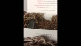 Love Lula beauty box April