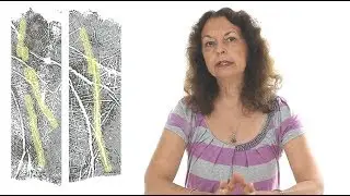 Connecting via the Destiny Line - Palmistry for Relationships