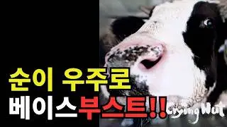크라잉넛 (CRYING NUT) - 순이 우주로 (베이스 부스트/Bass Boosted)