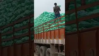 SUPER QUALITY COCONUT TAMILNADU DUBAI LODING 25 PIC 13 KG RS 64 📲 8436106259#long 