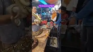 Exotic Animal Market in Indonesia &ndash; Rare Reptiles and Snakes for Sale! #funny #animals #shorts
