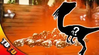 ARK COMPY BREEDING AND COLOR MUTATIONS! 500 COMPY EGGS! Ark Survival Evolved Zoo