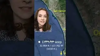 New Discovery: Sea Spider that Eats Methane Deep Under the Ocean!