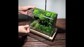 Desktop Moss Wall - The Fluff, Preserved Moss Terrarium by TerraLiving
