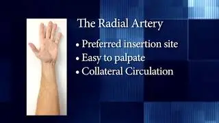 Arterial Blood Gas Sampling Source
