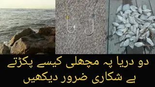 Best And Cheap Rig No More Break Line In Rock Base Bream Fishing In Karachi