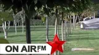 Reklama Amazona  - Dasmatv