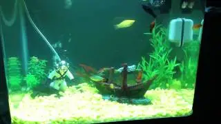 My fishlets tank