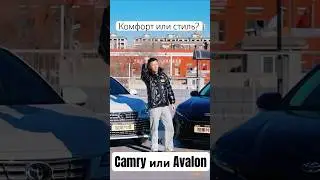 Комфорт vs Стиль: Toyota Camry и Avalon #Avalon#Camry#car#toyota#shorts#reels