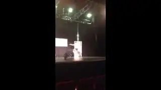 Pole Dance Cup 2013 - Mona Arbinger // Mary Poppins - Chim Chim Cheree