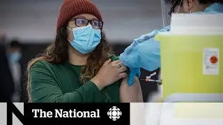 Which COVID-19 vaccine is better? (spoiler, they&rsquo;re all good)