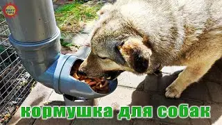 Кормушка для собаки своими руками из ПВХ труб.