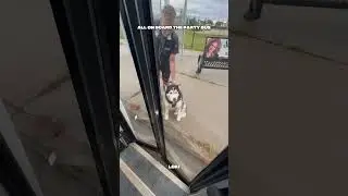 All on board the Party Bus