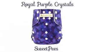 SweetPees Cloth Diapers with Free Large Zorb II Prefold Organic Cotton Insert