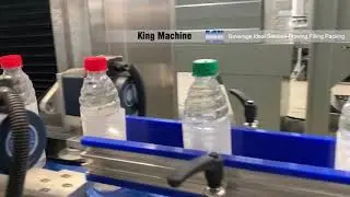 8,000bph based on 500mL pet bottle juice production line