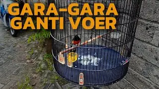 Конечно, есть причина изменить VOER.