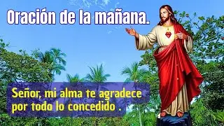 Gracias Dios m&iacute;o, por todo lo que me concedes.  Oraci&oacute;n de la ma&ntilde;ana. 01/28/26