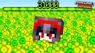 I Collected 31,000 XP LEVELS In Minecraft Survival😰!