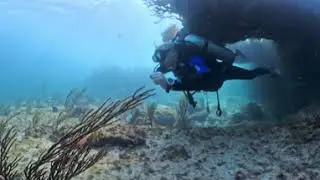 Scuba diving at Callega #1 in Cayo Santa Maria, Cuba 2025 Part 1