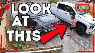 Amazing Moment Caught On Security Camera 🥹