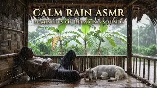 🍃🌧️ Natural Heavy Rain Sounds for Sleep 😴 - Rain Sound ASMR 🎶 - 30 minute rain sound for deep sleep 