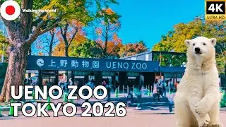 Ueno Zoo Tokyo 2026 🇯🇵 | 4K Walking Tour Inside Japan&rsquo;s Famous Zoo