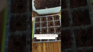 It's time to start your Fall seeds! #fallgardening #gardentips