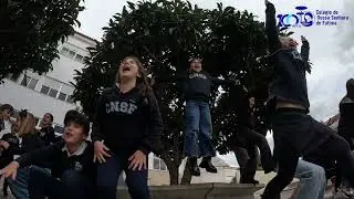 Ser Crian&ccedil;a