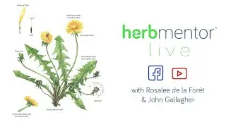 HerbMentor Live with Rosalee & John, Wednesday April 1, 2020