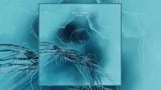 Anna B May - Piano Stories | Neo Classical Piano