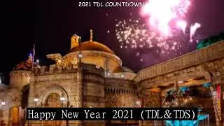 [2020-2021]TDL COUNTDOWN 2021