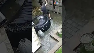 Distracted walking into a baby pool&mdash;funniest phone fail ever! 😂📱 #FunnyFails
