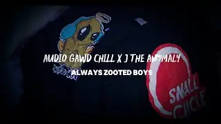 Audio Gawd Chill x J The Anomaly -Always Zooted Boys  ( Music Video )