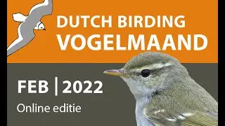 Dutch Birding Online 2022 - Week 2