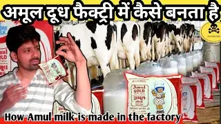 || अमूल दूध फैक्ट्री में कैसे बनता है ||  how amul milk is made | amul milk factory | Ali Khan2920