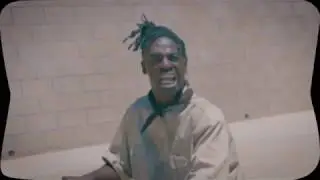 Drelli - $100 shrimp ( Official Video )